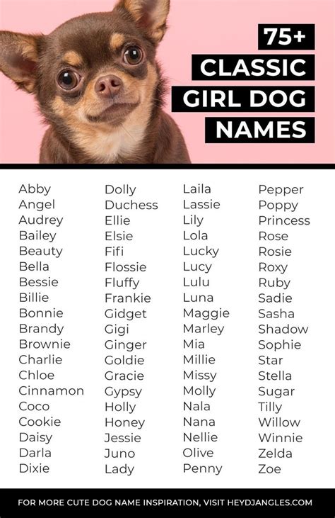 fancy dog names girl|More.